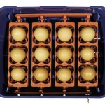 incubator.alt_texts.top_view_eggs