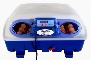 incubator.alt_texts.semi_auto_eggs
