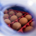 incubator.alt_texts.control_panel