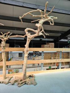 accessories/tree-perches.alt_texts.java_xl_3