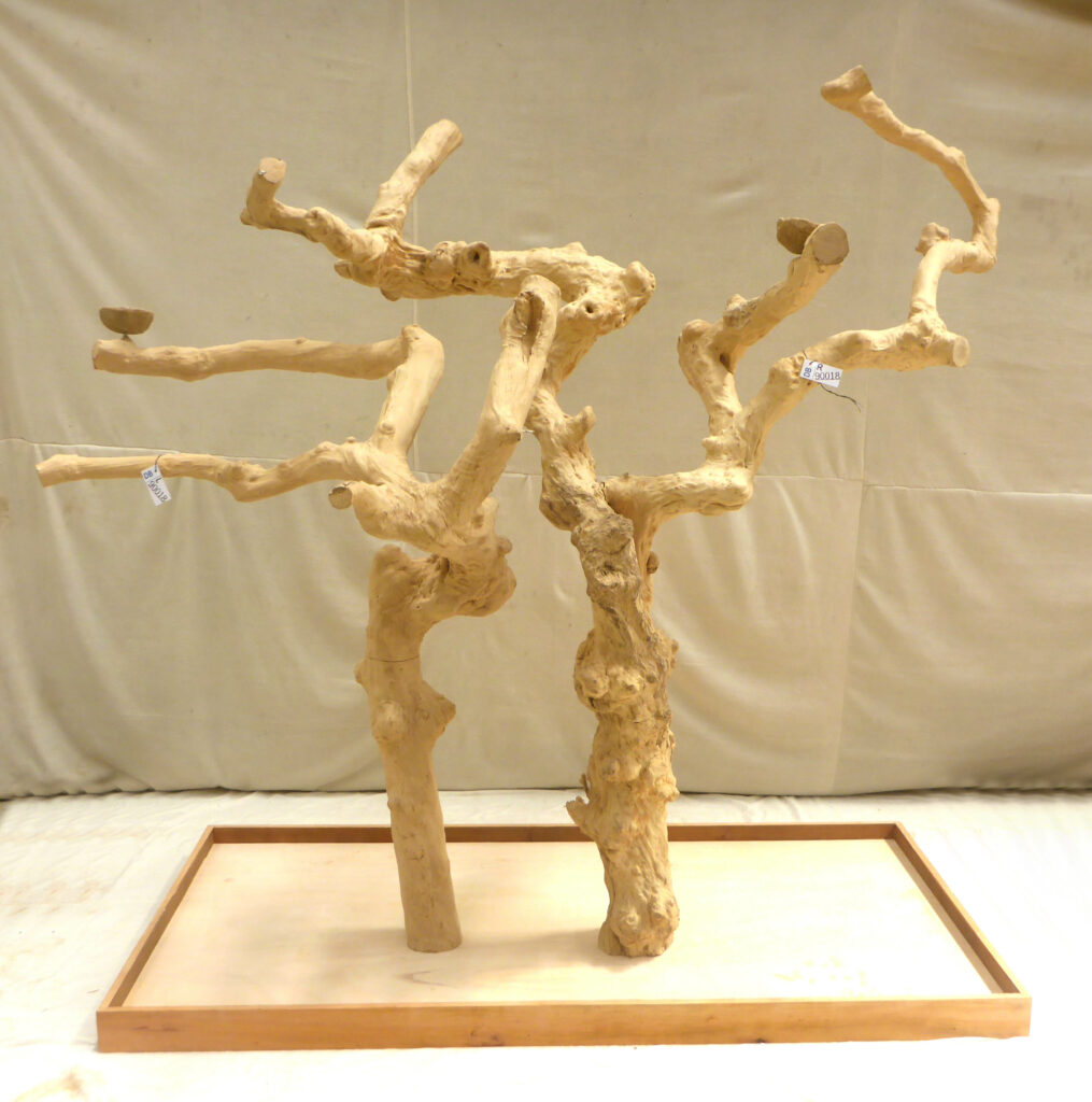 accessories/tree-perches.alt_texts.java_stand_1