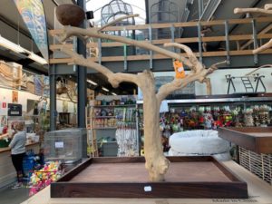 accessories/tree-perches.alt_texts.tree_3