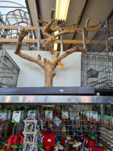 accessories/tree-perches.alt_texts.tree_6