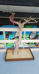 accessories/tree-perches.alt_texts.java_large_2