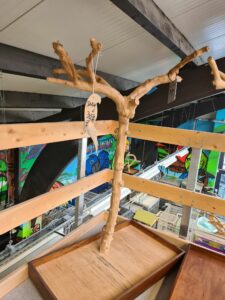 accessories/tree-perches.alt_texts.java_large_3